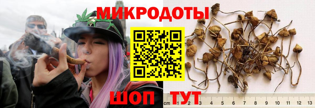 Галлюциногенные грибы GOLDEN TEACHER  Вход с VPN  как найти наркотики  Касимов  Псилоцибиновые грибы MAGIC MUSHROOMS 